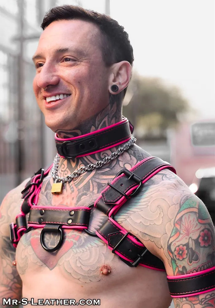 Hardline Bulldog Harness