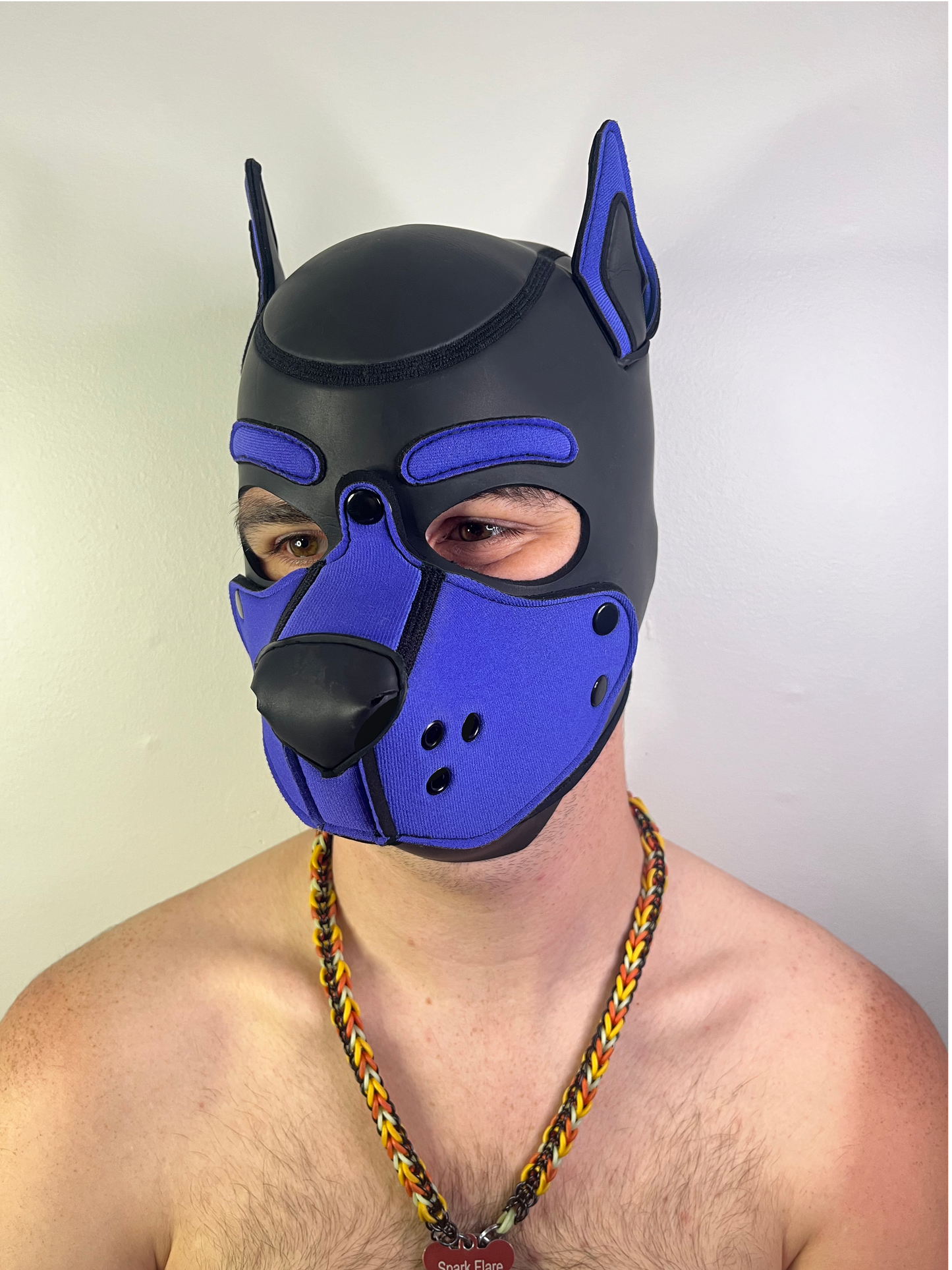 Neoprene K9 Hood