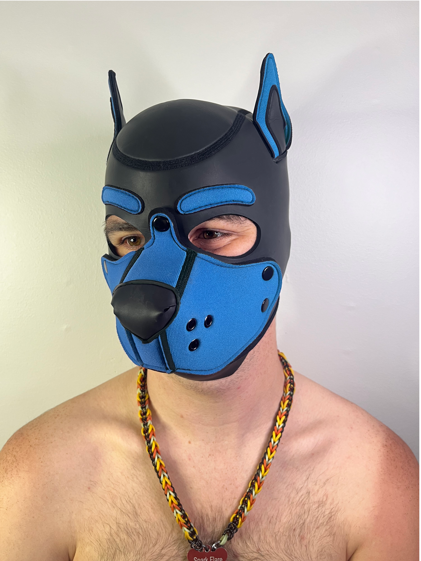 Neoprene K9 Hood