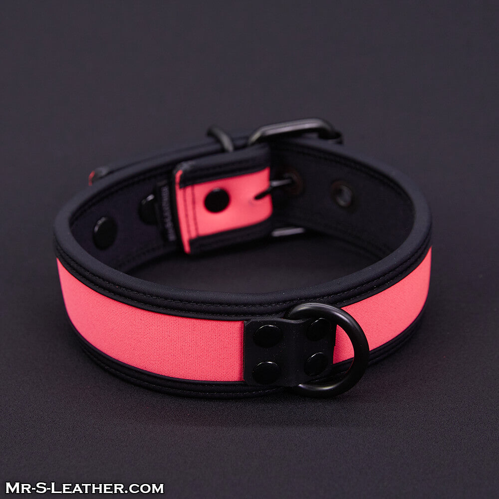 Neo Bold Color Puppy Collar