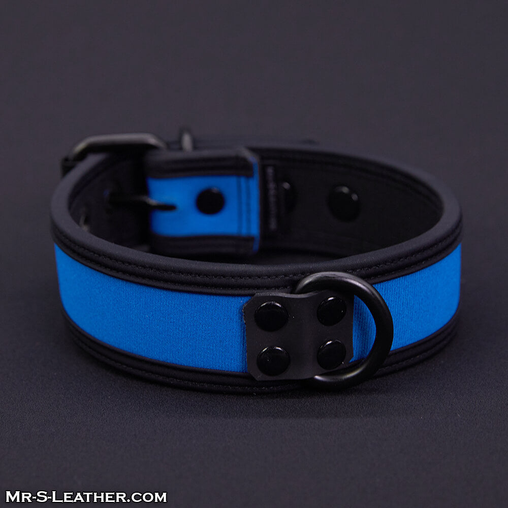 Neo Bold Color Puppy Collar