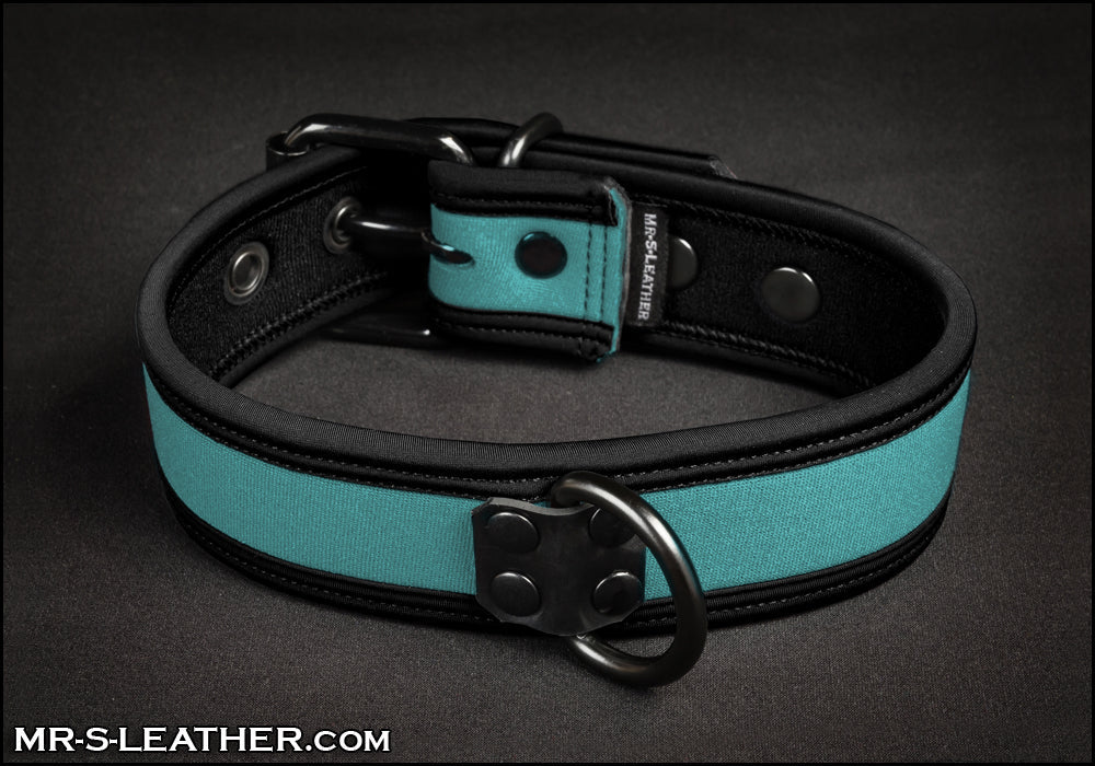 Neo Bold Color Puppy Collar