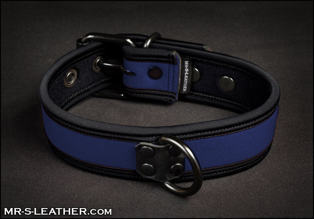 Neo Bold Color Puppy Collar