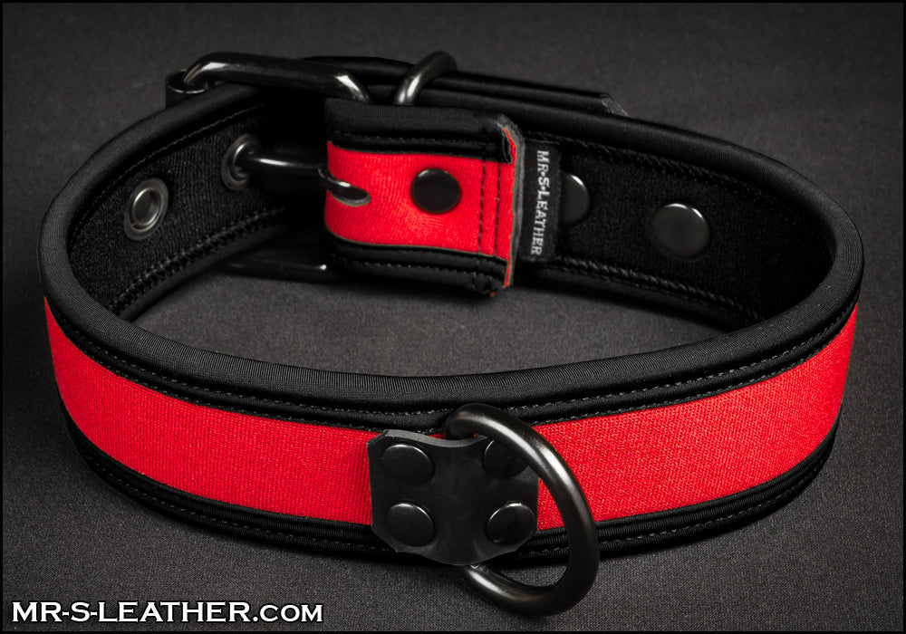Neo Bold Color Puppy Collar