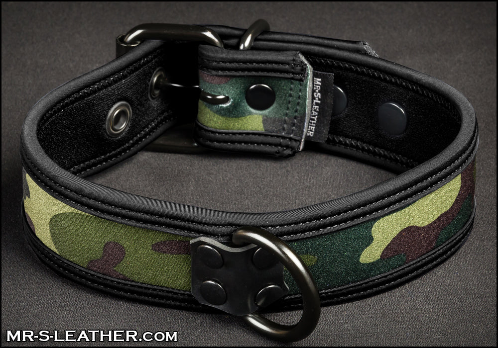 Neo Bold Color Puppy Collar