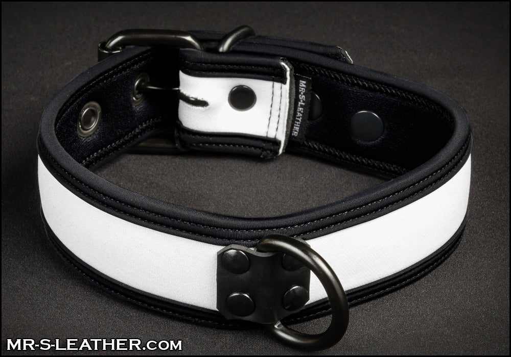 Neo Bold Color Puppy Collar