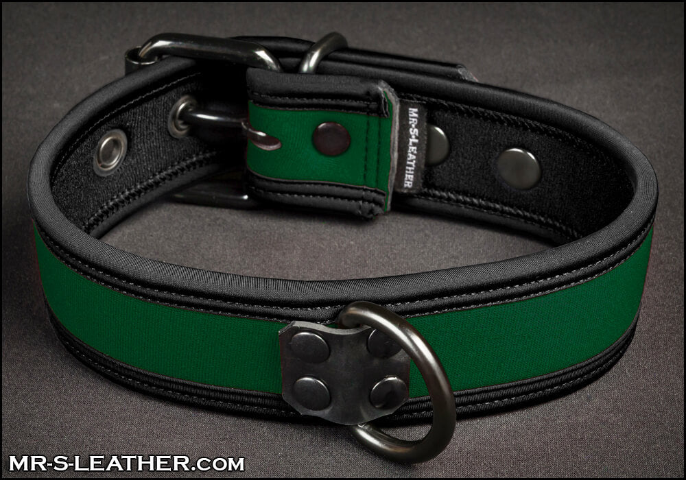 Neo Bold Color Puppy Collar