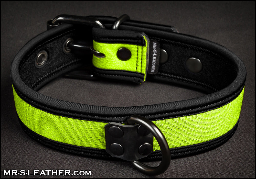 Neo Bold Color Puppy Collar