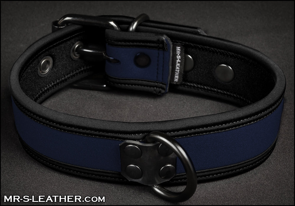 Neo Bold Color Puppy Collar