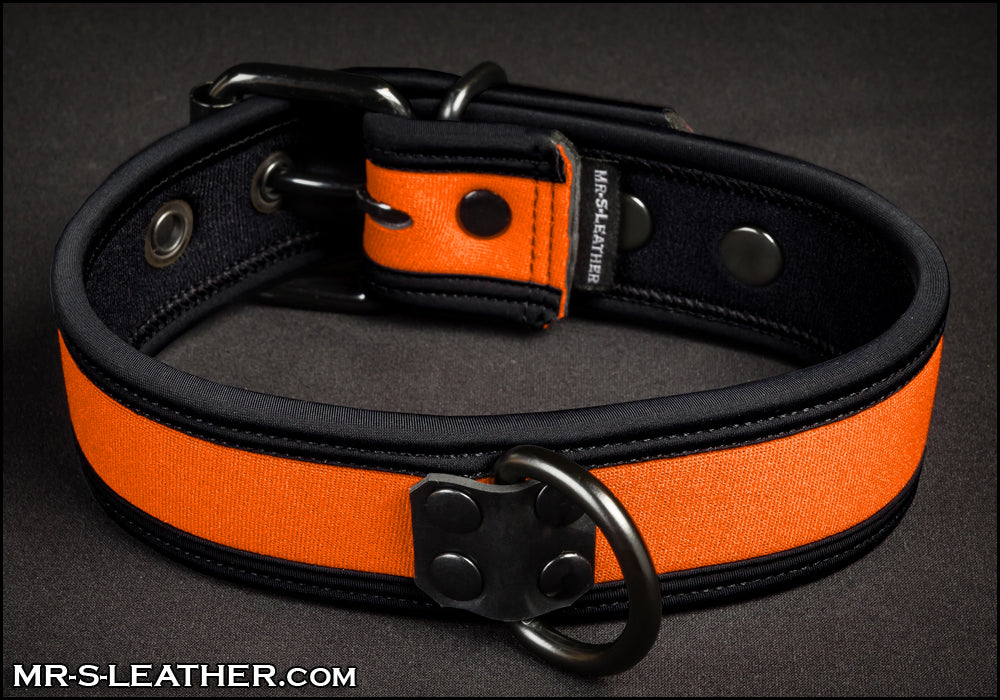 Neo Bold Color Puppy Collar