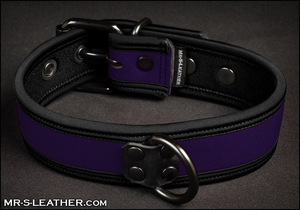 Neo Bold Color Puppy Collar