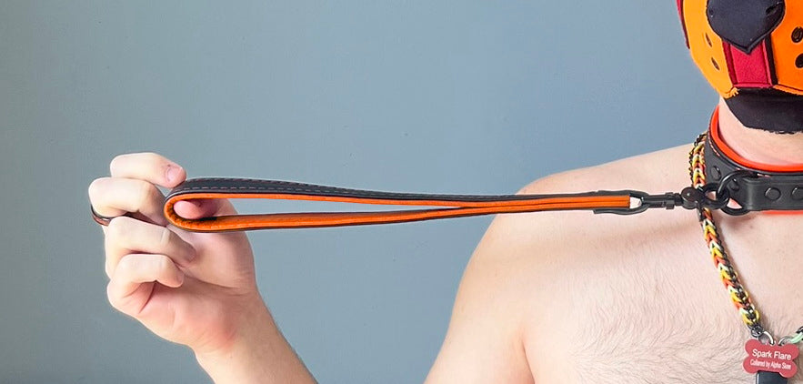 Hardline Short Leash