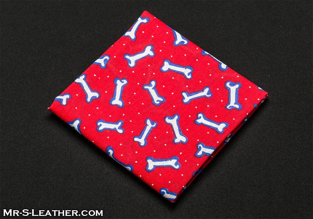 Puppy Hanky