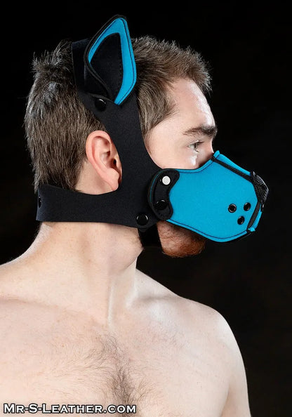 Person wearing a blue and black leather muzzle against a black background