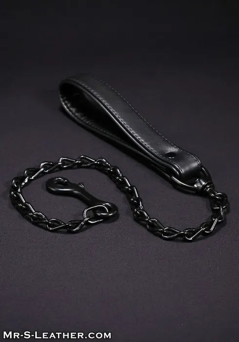 Leather Puppy Leash