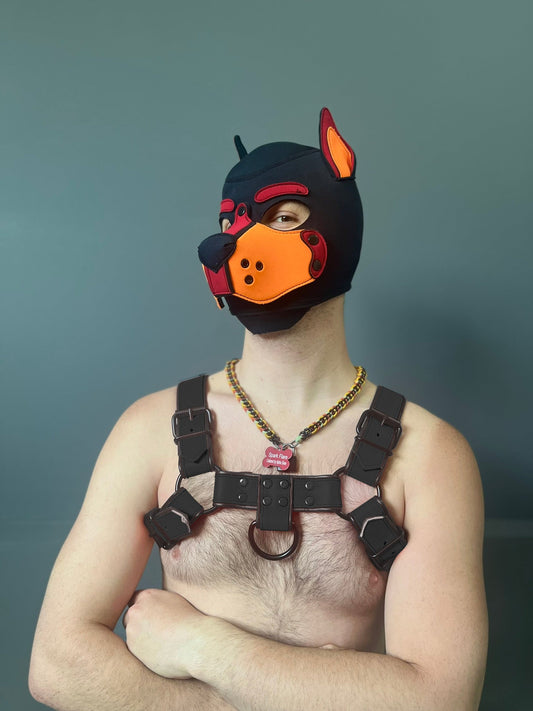 Dark Room Bulldog Harness