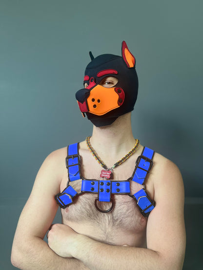 Dark Room Bulldog Harness