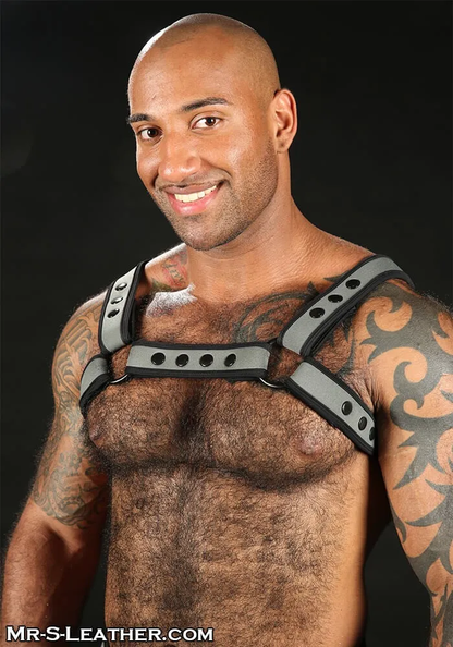 Neo Bold Color Bulldog Harness