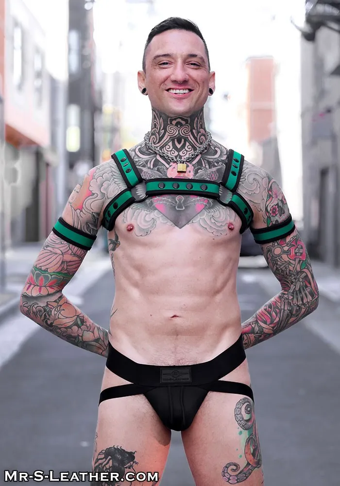 Neo Bold Color Bulldog Harness