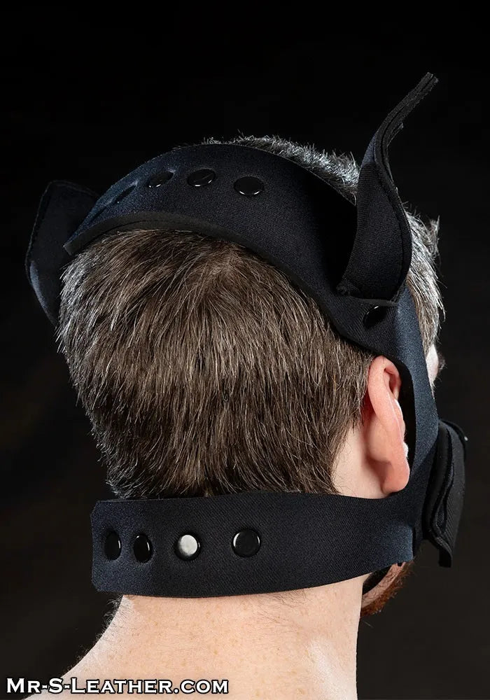 Neoprene K9 Muzzle Kit