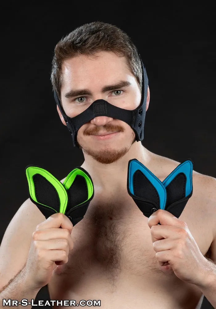 Neoprene K9 Ears Only