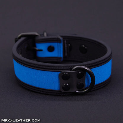 Neo Bold Color Puppy Collar
