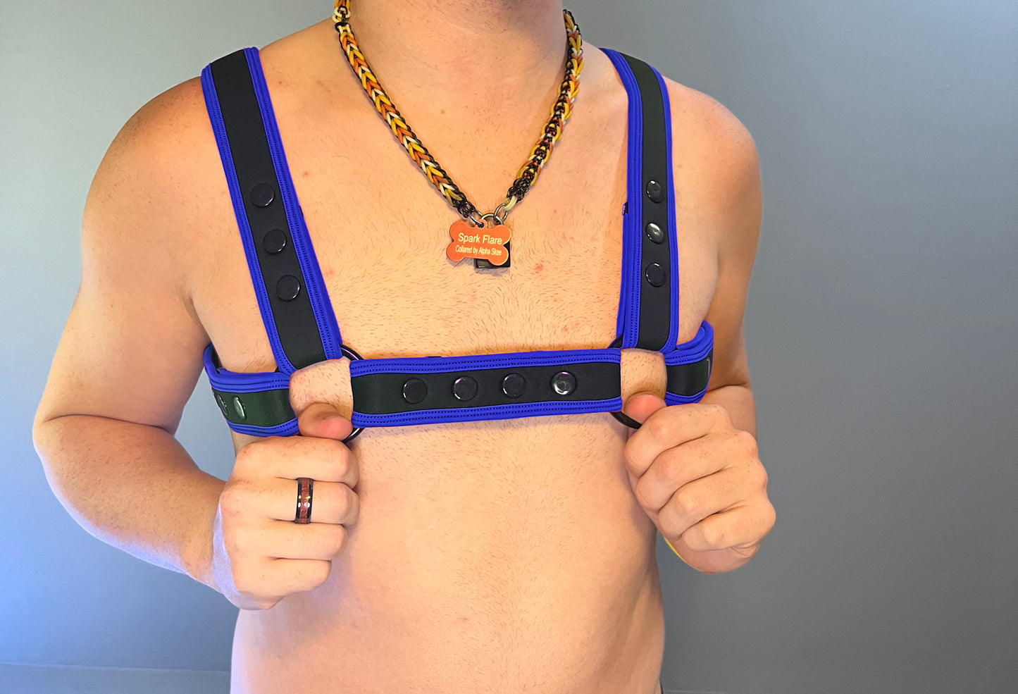 Neo Carbon Black Bulldog Harness