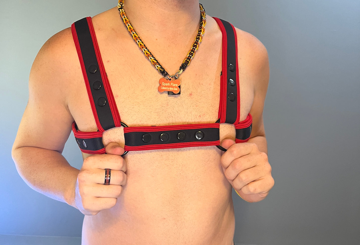 Neo Carbon Black Bulldog Harness