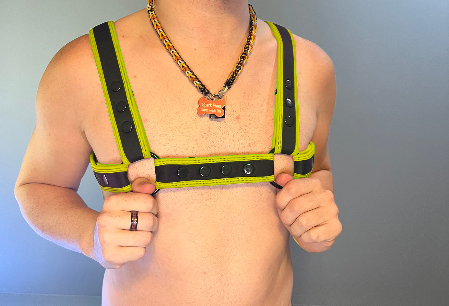 Neo Carbon Black Bulldog Harness