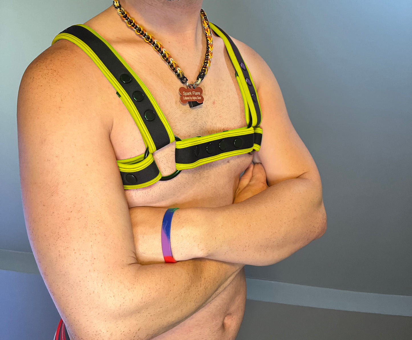 Neo Carbon Black Bulldog Harness