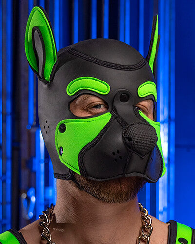 Neoprene Frisky Pup Hood