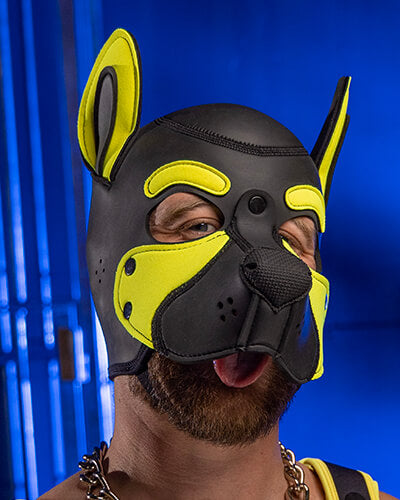 Neoprene Frisky Pup Hood