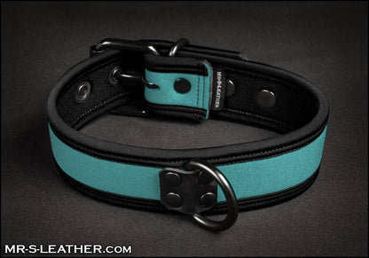 Neo Bold Color Puppy Collar