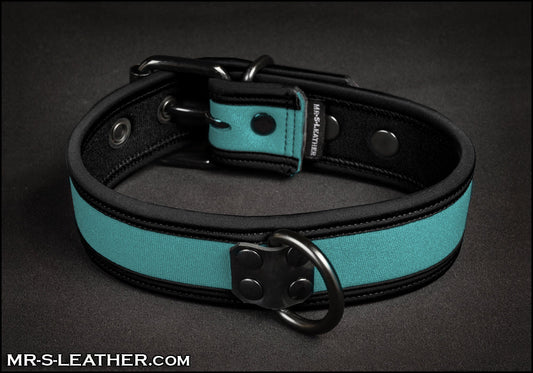 Neo Bold Color Puppy Collar