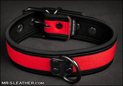 Neo Bold Color Puppy Collar