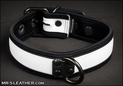 Neo Bold Color Puppy Collar