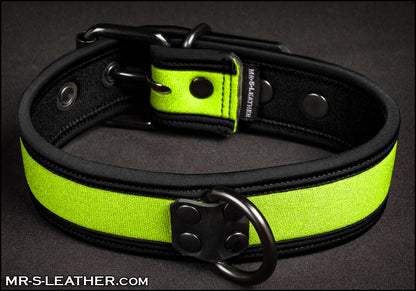 Neo Bold Color Puppy Collar
