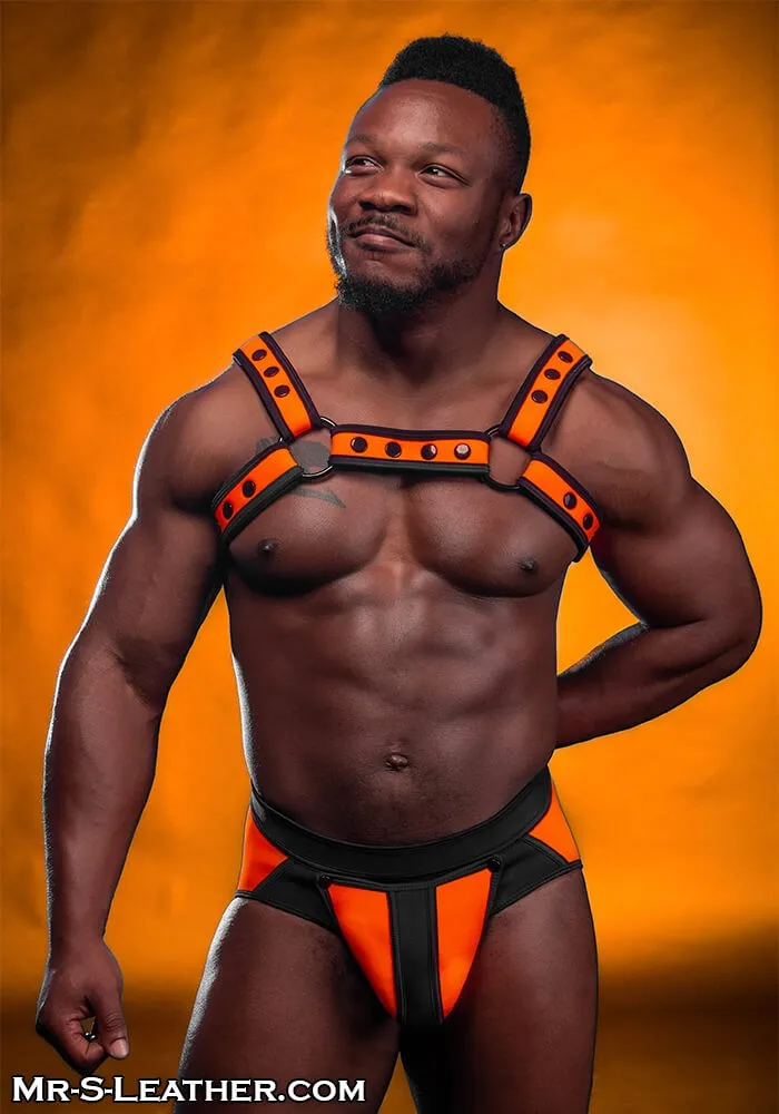 Neo Bold Color Bulldog Harness