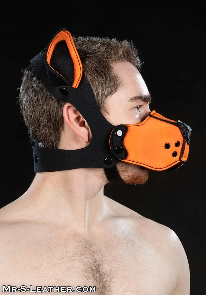 Neoprene K9 Muzzle Kit