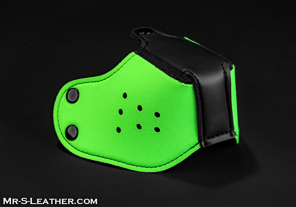 Puppy Muzzle