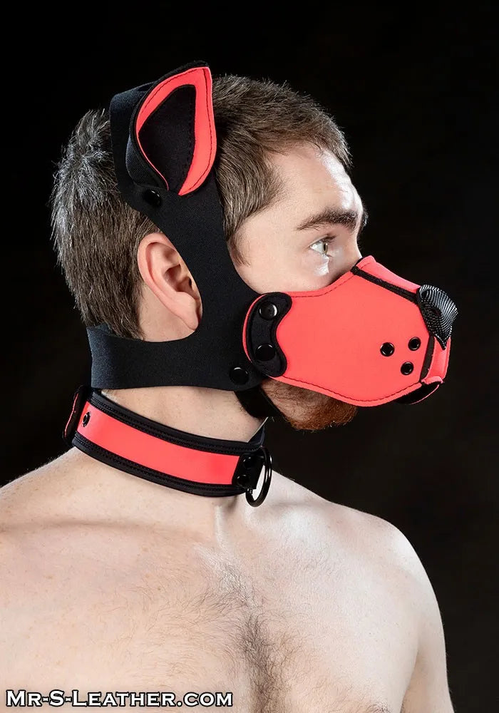 Neoprene K9 Muzzle Kit