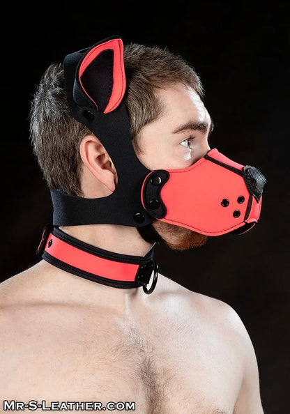 Neoprene K9 Muzzle Kit