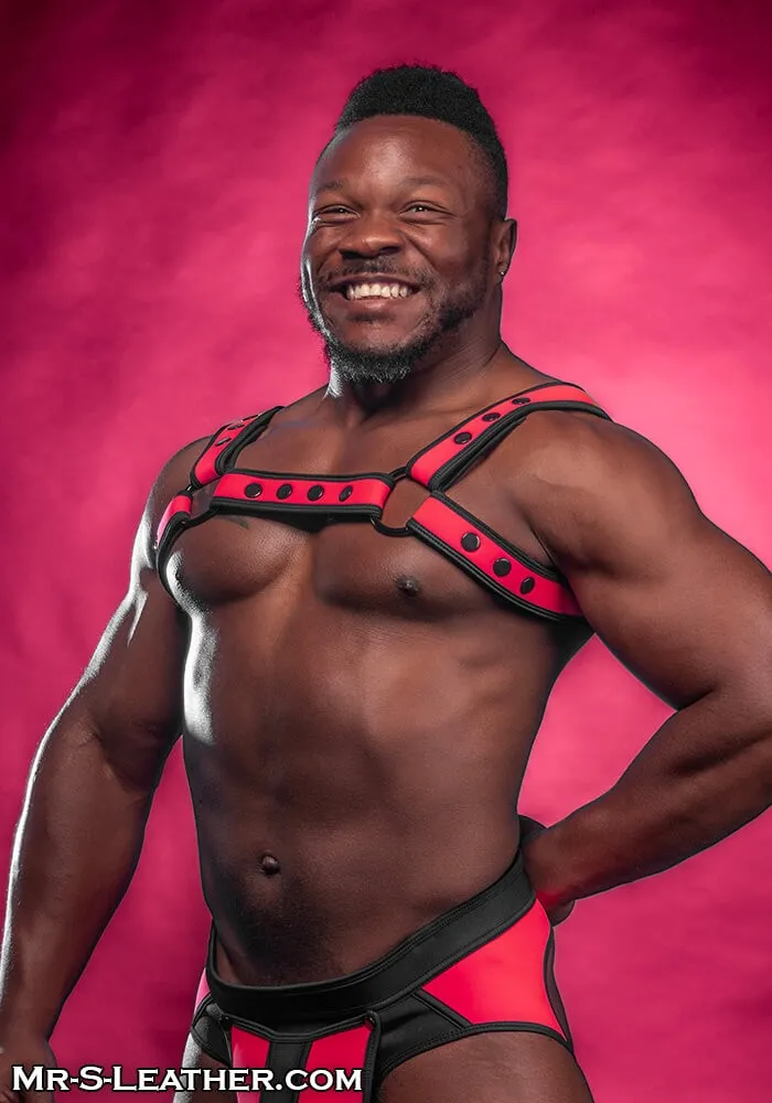 Neo Bold Color Bulldog Harness