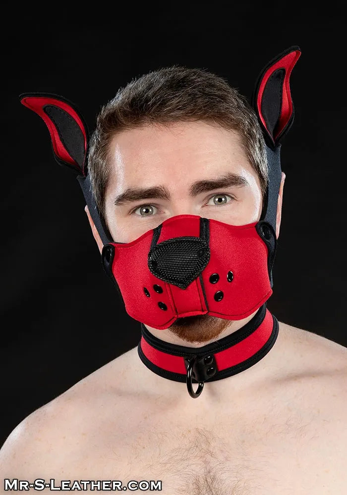 Neoprene K9 Muzzle Kit