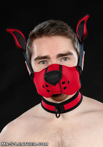 Neoprene K9 Muzzle Kit