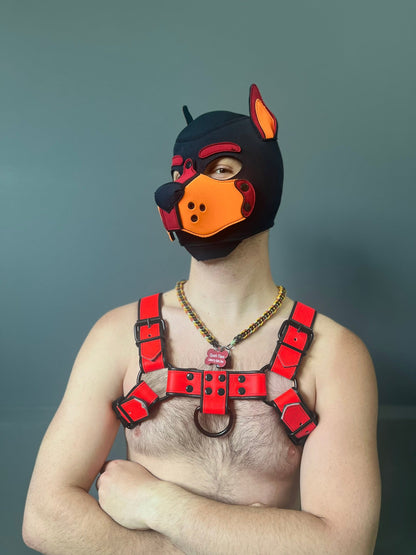 Dark Room Bulldog Harness