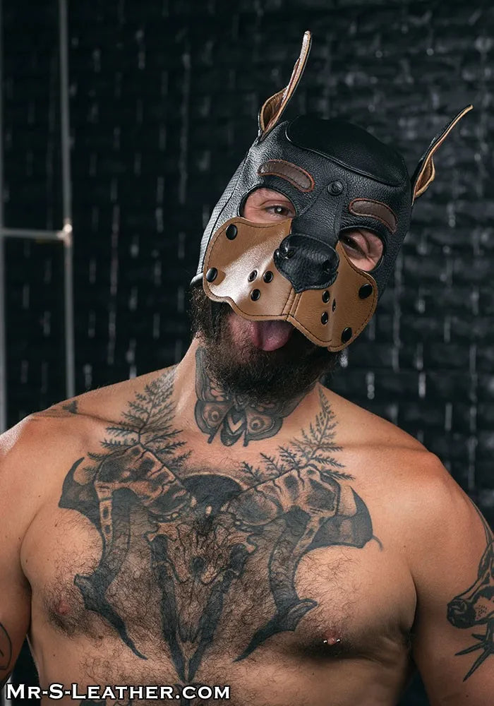 Leather Frisky Hood