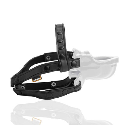 Watersport Strap On