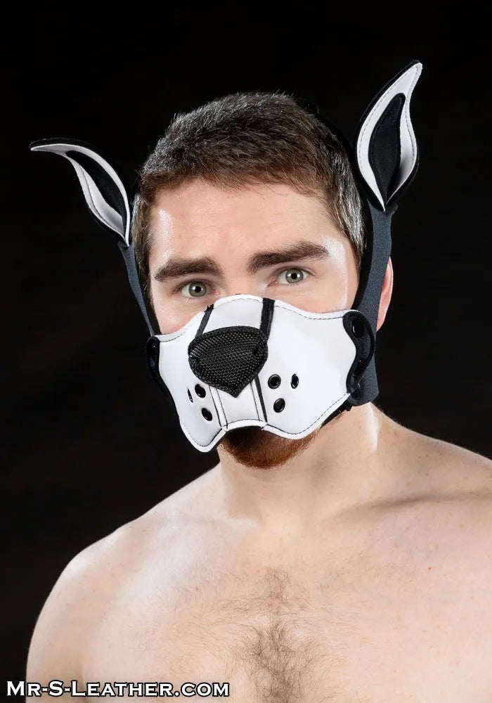 Neoprene K9 Muzzle Kit