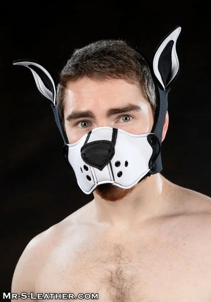 Neoprene K9 Muzzle Kit